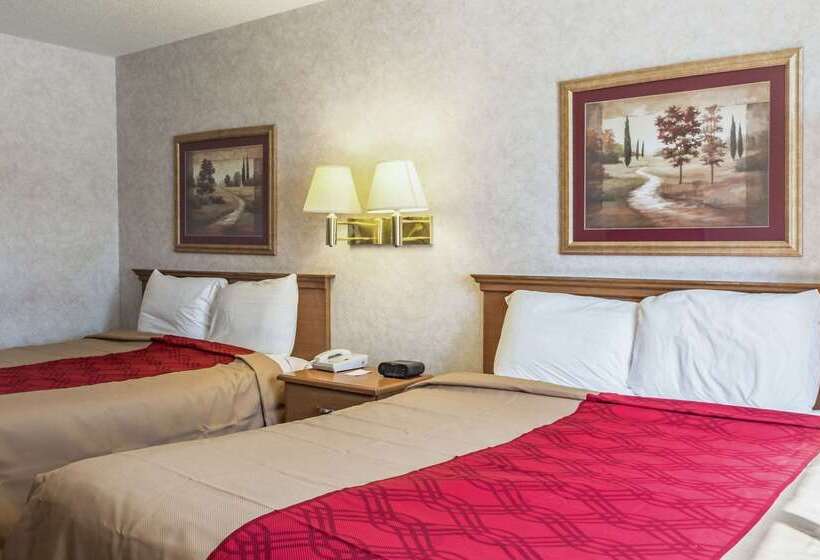 酒店 Econo Lodge North
