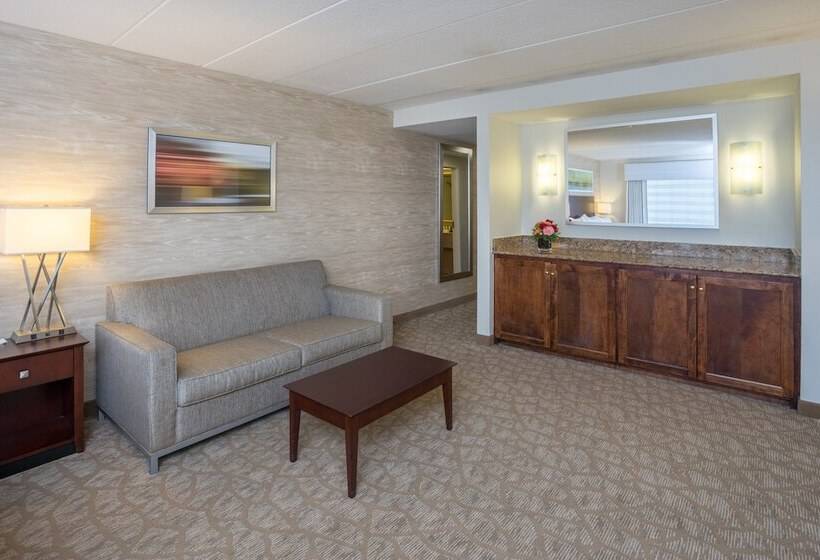 酒店 Holiday Inn Baltimore Bwi Airport, An Ihg