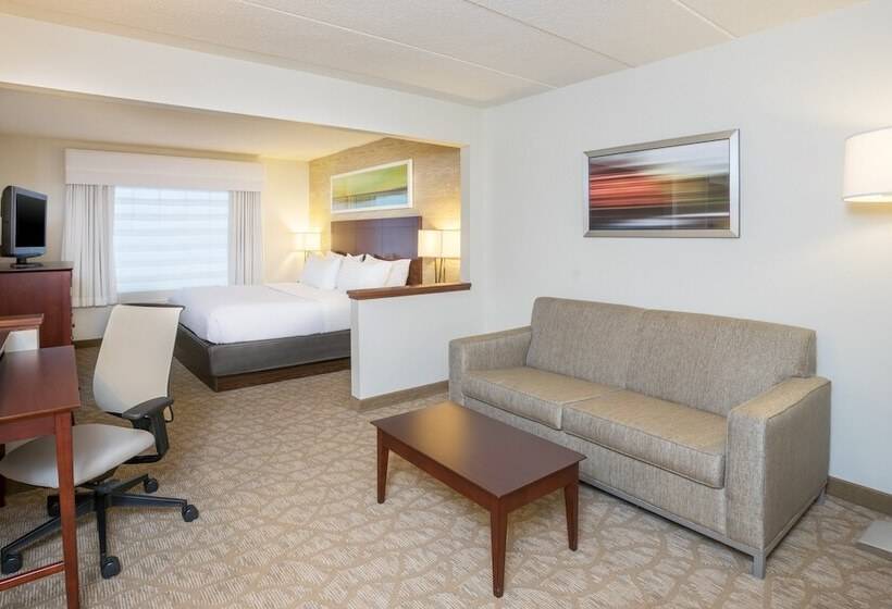 酒店 Holiday Inn Baltimore Bwi Airport, An Ihg