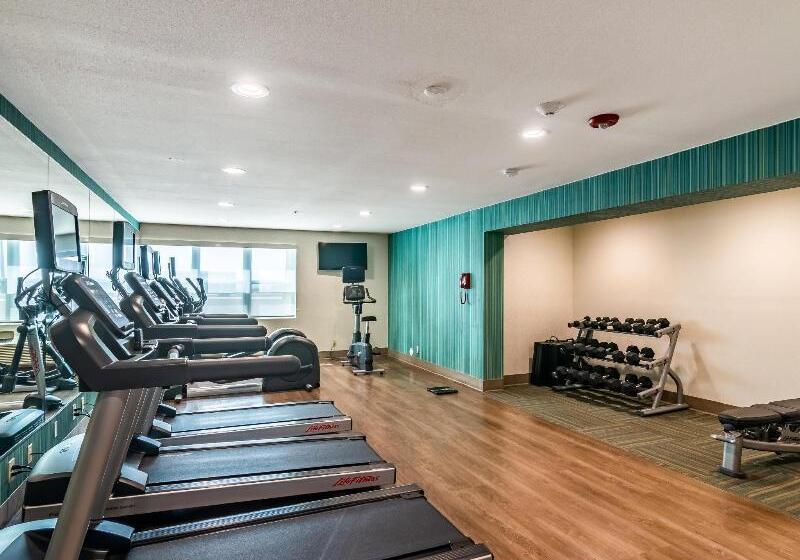 酒店 Holiday Inn Express & Suites Camarillo, An Ihg