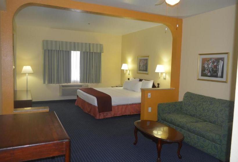 酒店 Howard Johnson By Wyndham San Antonio  & Suites