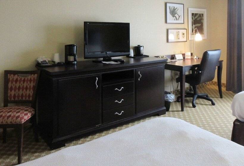 酒店 Quality Inn & Suites