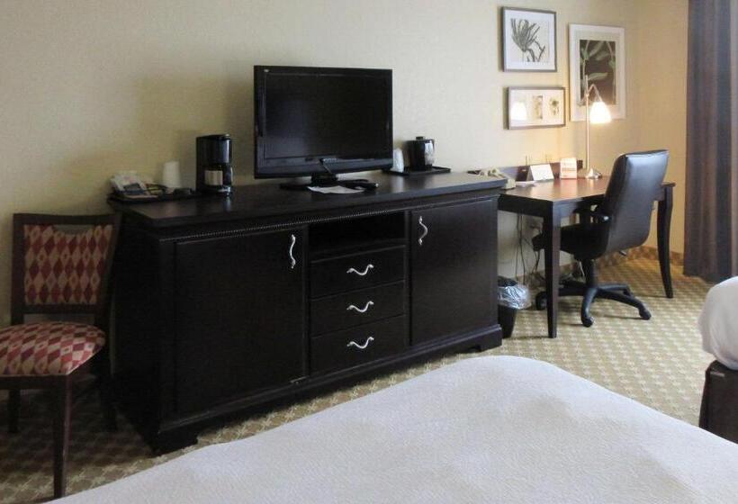 酒店 Quality Inn & Suites