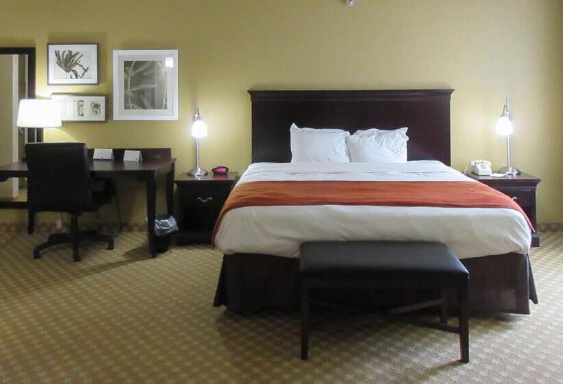 فندق Quality Inn & Suites