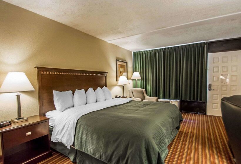 酒店 Quality Inn & Suites At Tropicana Field