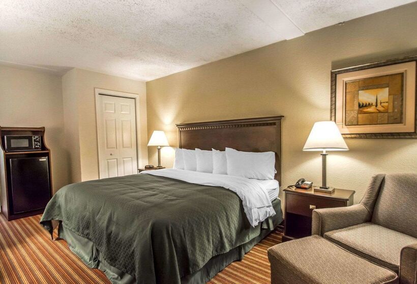 酒店 Quality Inn & Suites At Tropicana Field