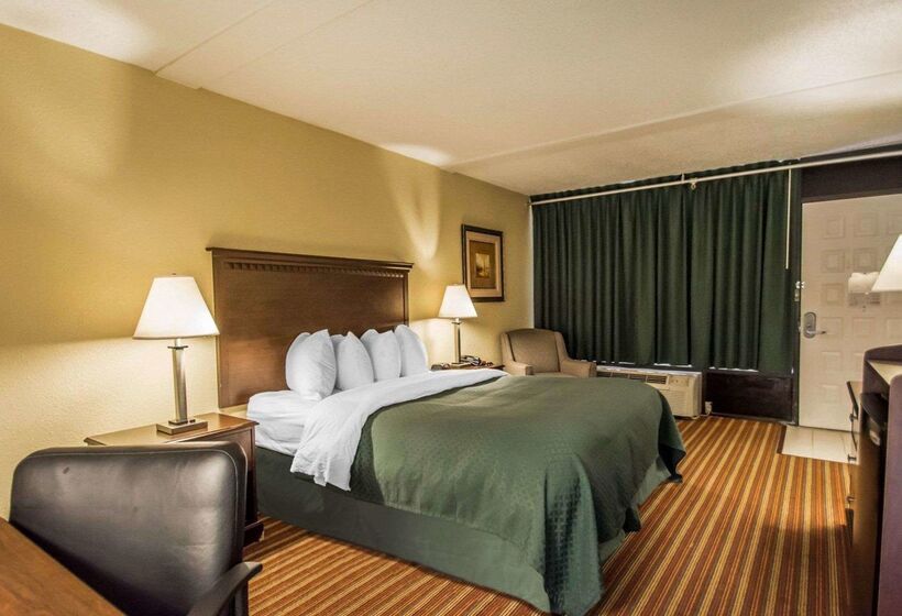 酒店 Quality Inn & Suites At Tropicana Field