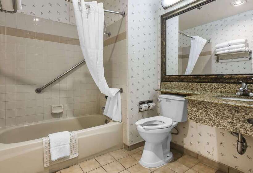 호텔 Quality Inn & Suites Los Angeles Airport Lax