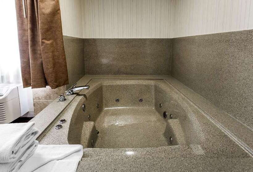 호텔 Quality Inn & Suites Los Angeles Airport Lax