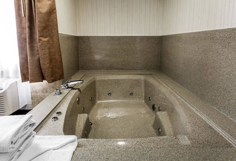 호텔 Quality Inn & Suites Los Angeles Airport Lax