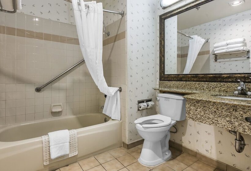 호텔 Quality Inn & Suites Los Angeles Airport Lax