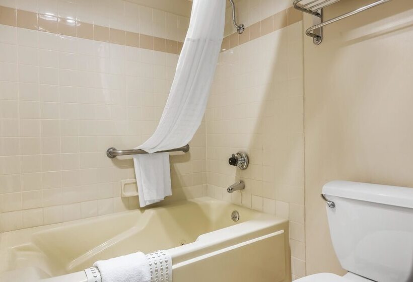 호텔 Quality Inn & Suites Los Angeles Airport Lax