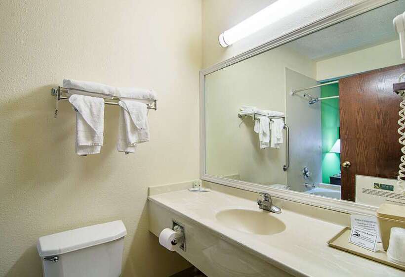 酒店 Quality Inn & Suites Near I 80 And I 294