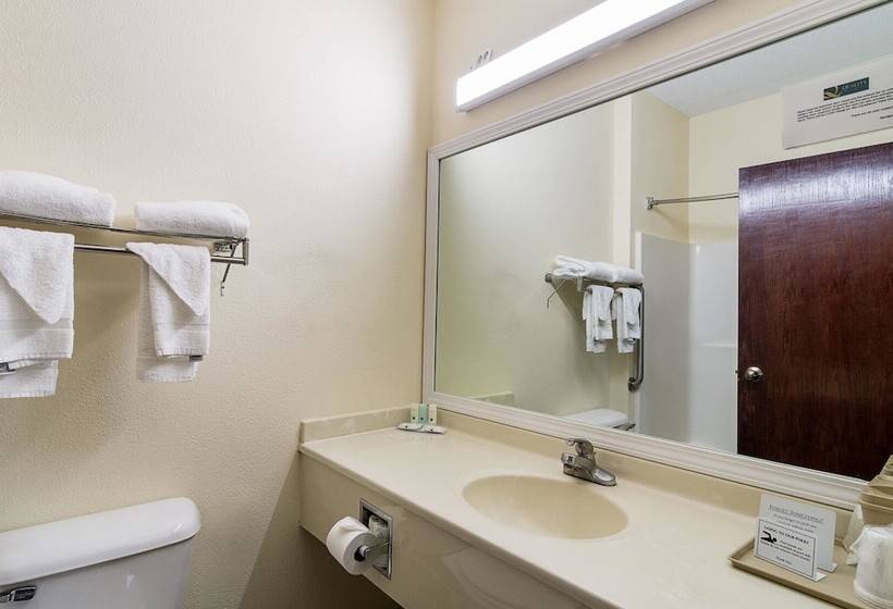 酒店 Quality Inn & Suites Near I 80 And I 294