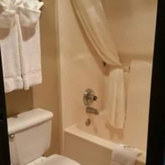 فندق Quality Inn Us65 & E Battlefield Rd Springfield