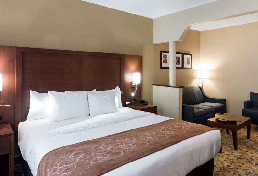 酒店 Quality Suites Midland North Loop 250