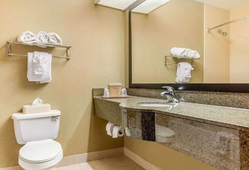 호텔 Quality Suites Sherman