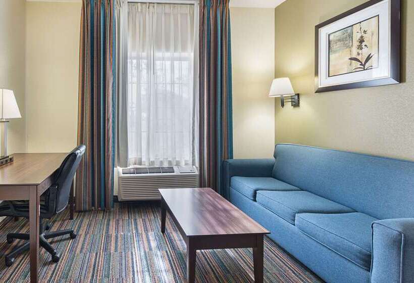 فندق Quality Suites