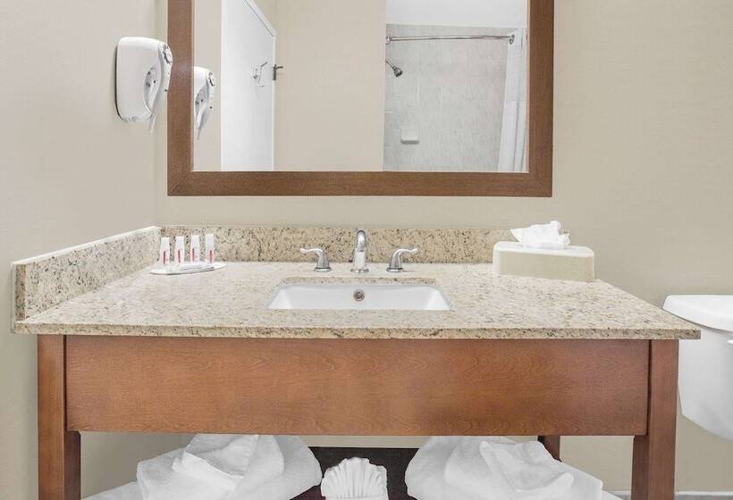 ホテル Ramada By Wyndham Denver International Airport