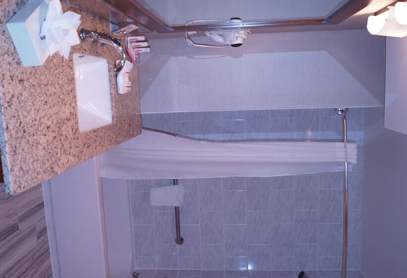 ホテル Ramada By Wyndham Denver International Airport