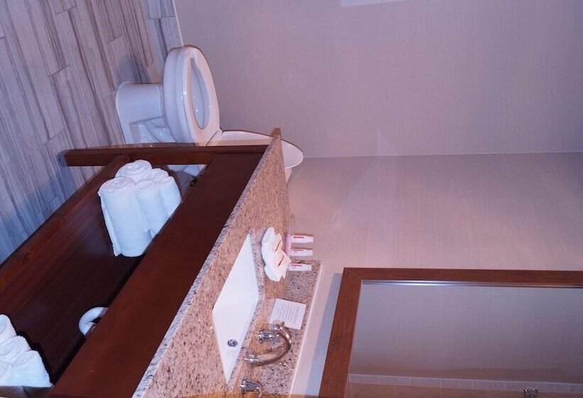 ホテル Ramada By Wyndham Denver International Airport