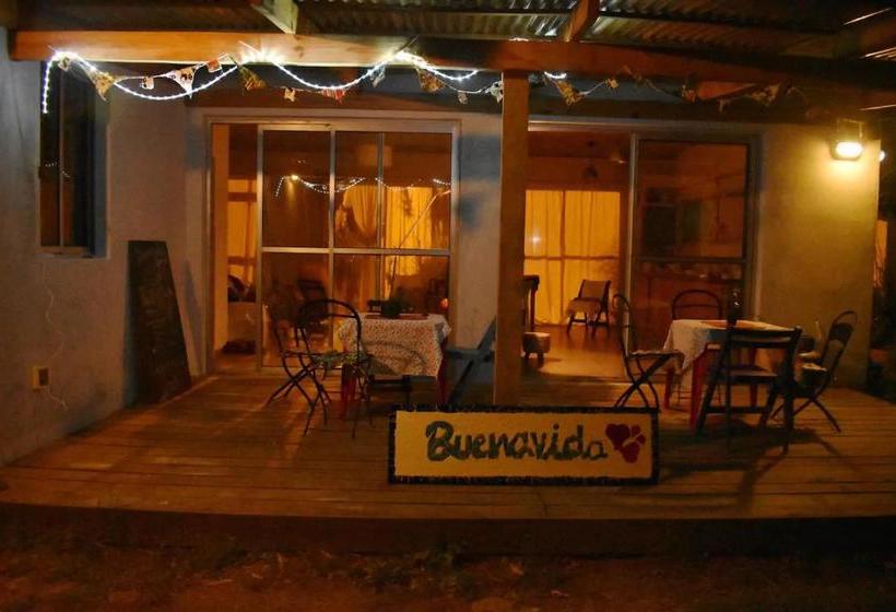 호스텔 Buenavida