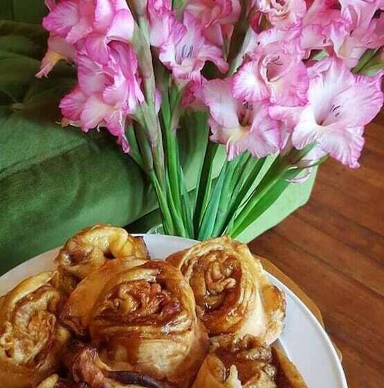 هاستل Tuatara Lodge