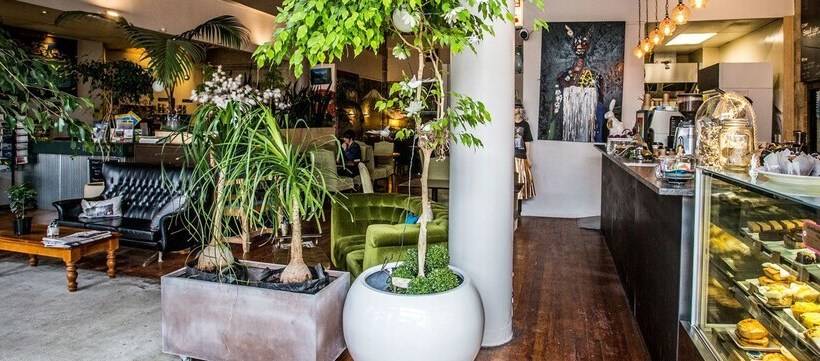 هاستل Tuatara Lodge