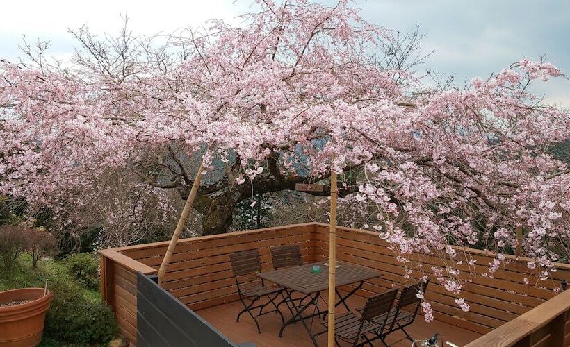 تختخواب و صبحانه Houtouji Temple