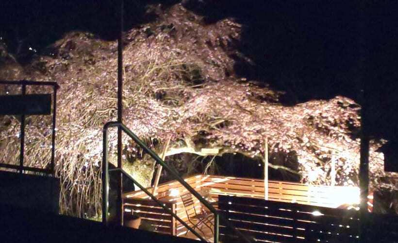 تختخواب و صبحانه Houtouji Temple