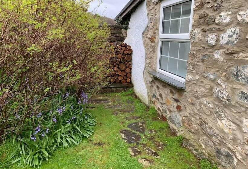 住宿加早餐 The Residence At Bolenna