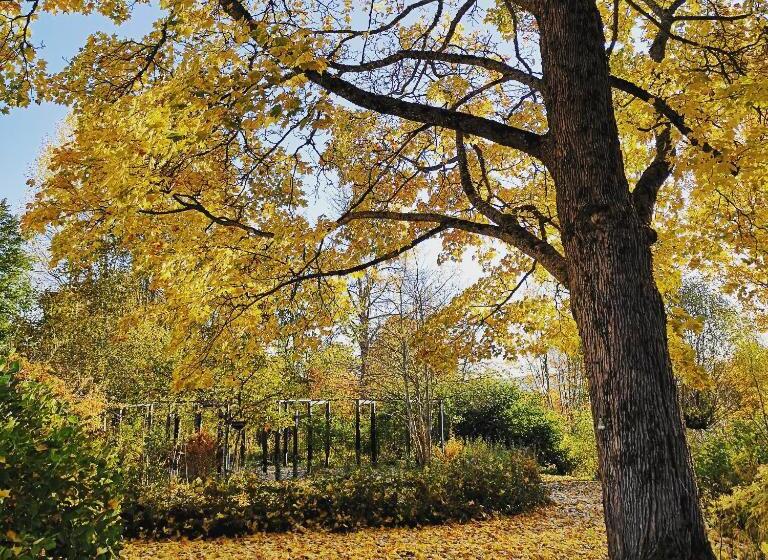 Disponentparken Café Och Bed & Breakfast