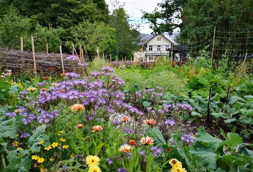 Disponentparken Café Och Bed & Breakfast