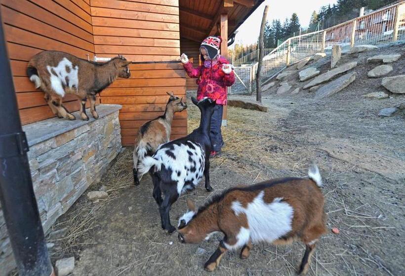 پانسیون Apartmány Chata Večernice