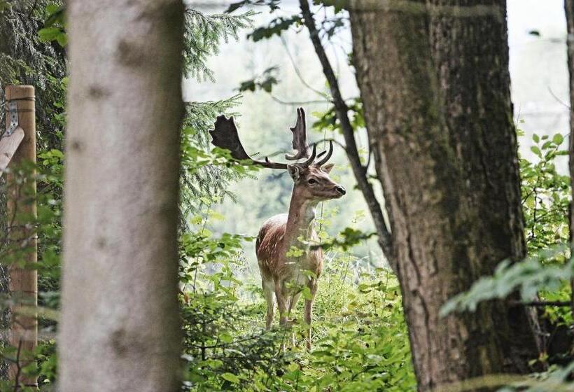 펜션 Apartmány Chata Večernice