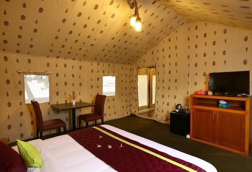 استراحتگاه Shady Shores