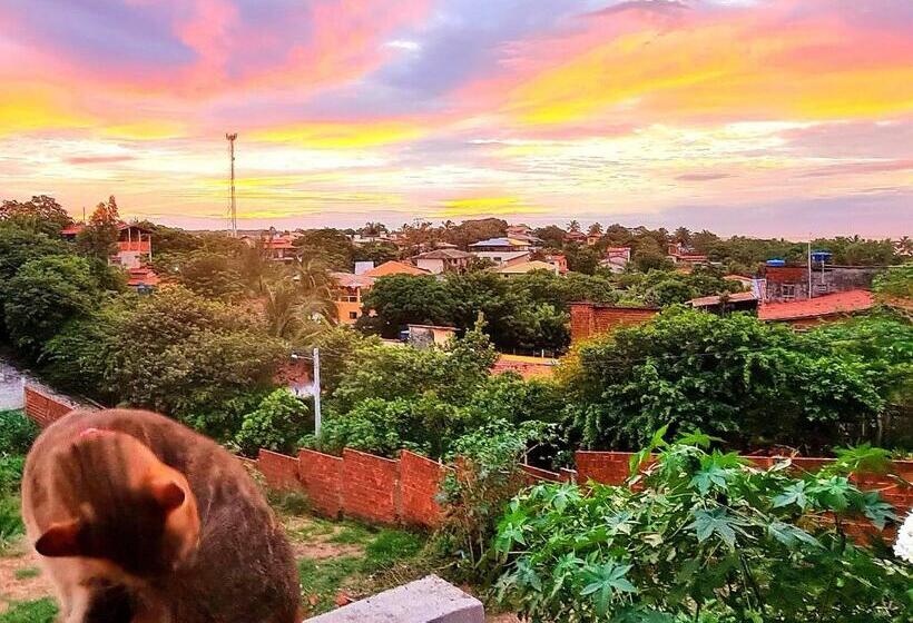 فندق صغير Di Pipa Rooms Hidromassagem Externa