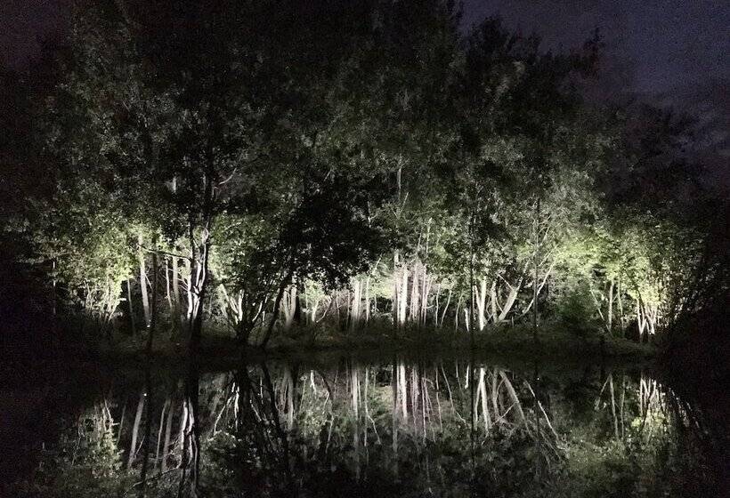 住宿加早餐  Thewaterfrontlodges