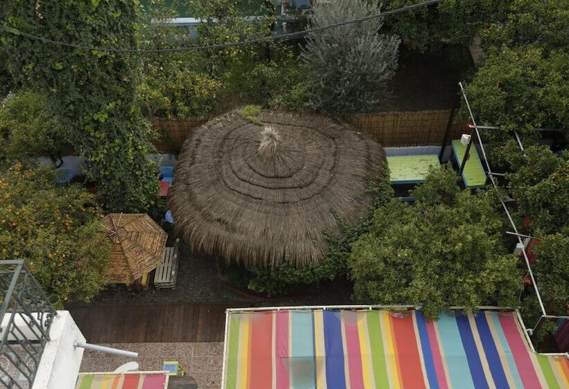 تختخواب و صبحانه Villa Les Palmes