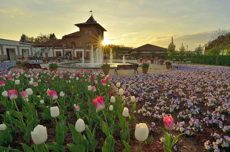 Отель Holiday Inn Express Kaiserslautern, An Ihg