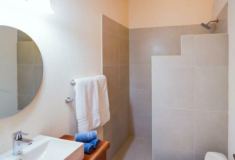 ホテル Villas Roma Del Mar