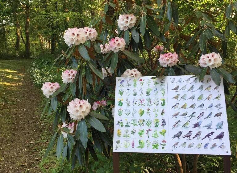 بنسيون Dromard House