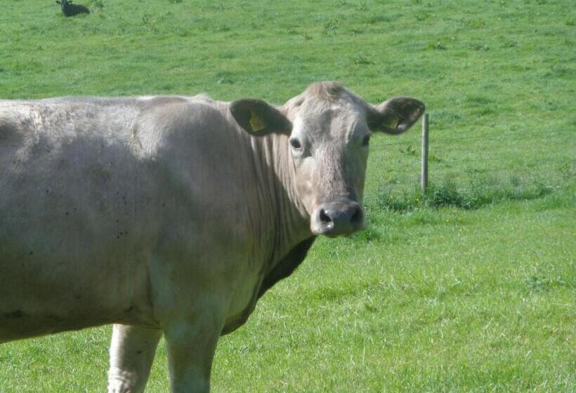 بنسيون Dromard House