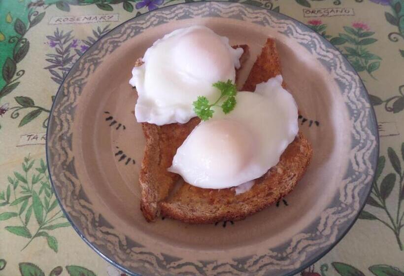 بنسيون Dromard House