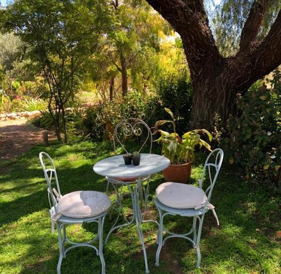 פנסיון The Lemon Tree