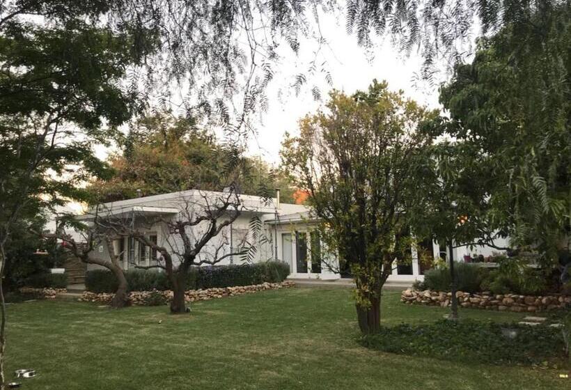 פנסיון The Lemon Tree