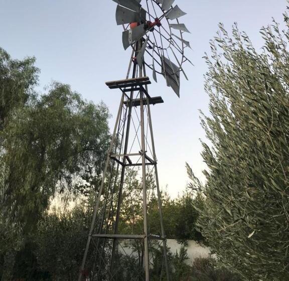 פנסיון The Lemon Tree