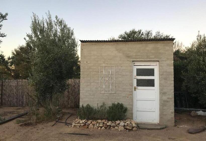 פנסיון The Lemon Tree