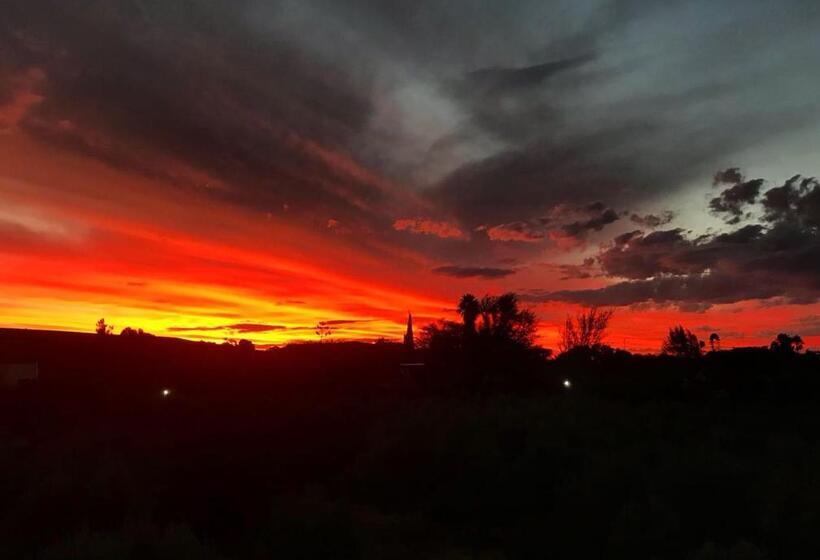 פנסיון The Lemon Tree