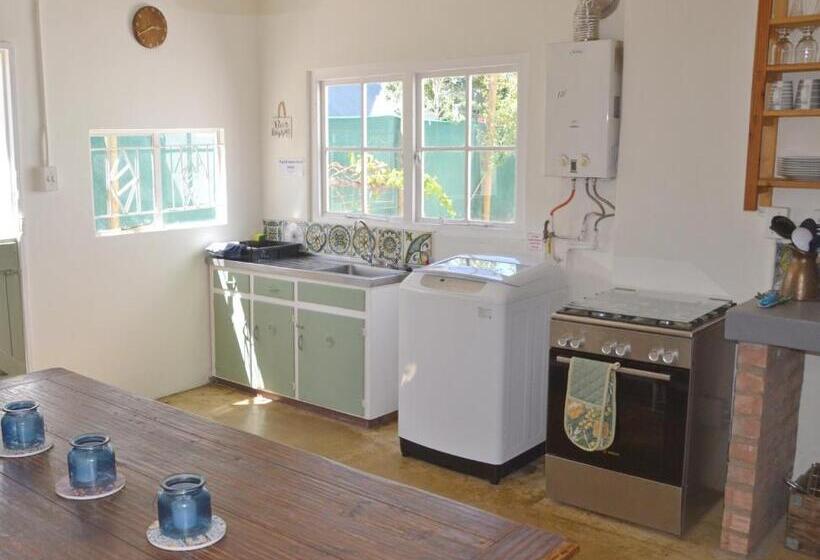 פנסיון The Lemon Tree